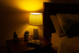 Light Bulbs