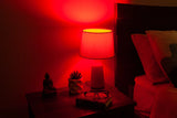 Light Bulbs