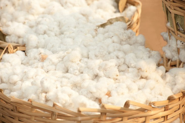 3 Things To Know About Organic Cotton Sheets – HauteCoton